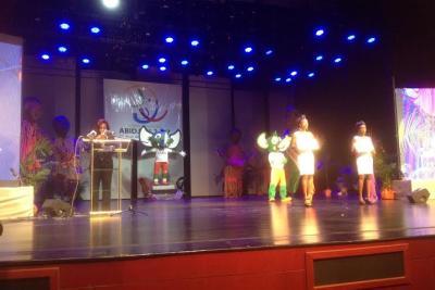 Agrandir l'image 10 sur 36, fenêtre modale