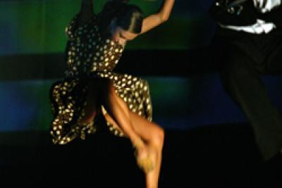 Agrandir l'image 6 sur 17, fenêtre modale