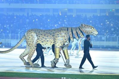 Agrandir l'image 1 sur 24, fenêtre modale