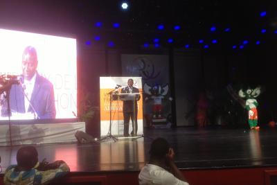 Agrandir l'image 11 sur 36, fenêtre modale