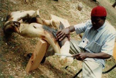 Agrandir l'image 2 sur 2, fenêtre modale