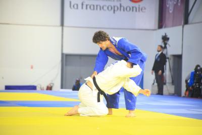 Agrandir l'image 329 sur 492, fenêtre modale