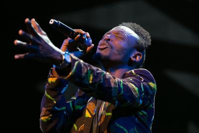 Agrandir l'image 36 sur 101, fenêtre modale