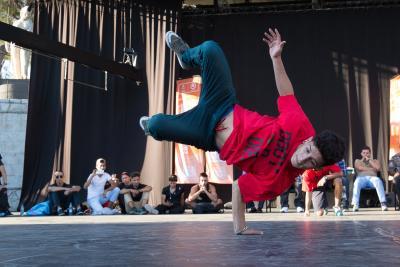 Agrandir l'image 48 sur 101, fenêtre modale