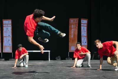 Agrandir l'image 57 sur 101, fenêtre modale