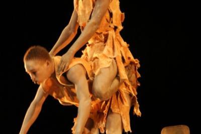 Agrandir l'image 2 sur 2, fenêtre modale