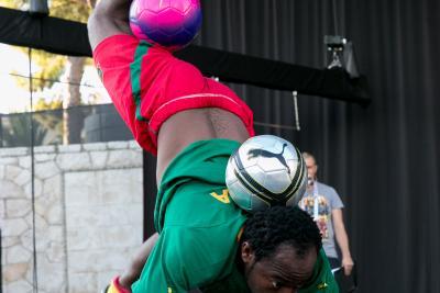 Agrandir l'image 61 sur 101, fenêtre modale