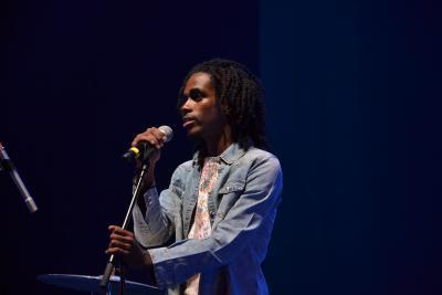 Agrandir l'image 3 sur 33, fenêtre modale