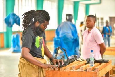 Agrandir l'image 8 sur 14, fenêtre modale