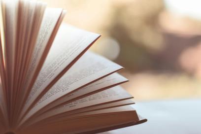 Livre et droit d'auteur - Agrandir l'image, fenêtre modale